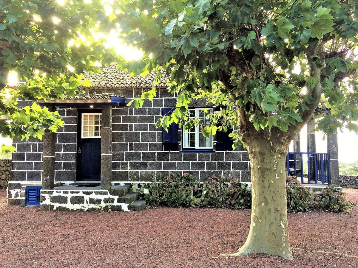 Casa Da Canada Ribeira Grande Eksteriør bilde